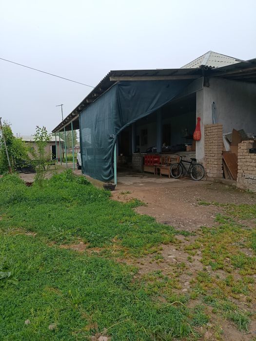 Ташморе коракуйли Уй сотилади