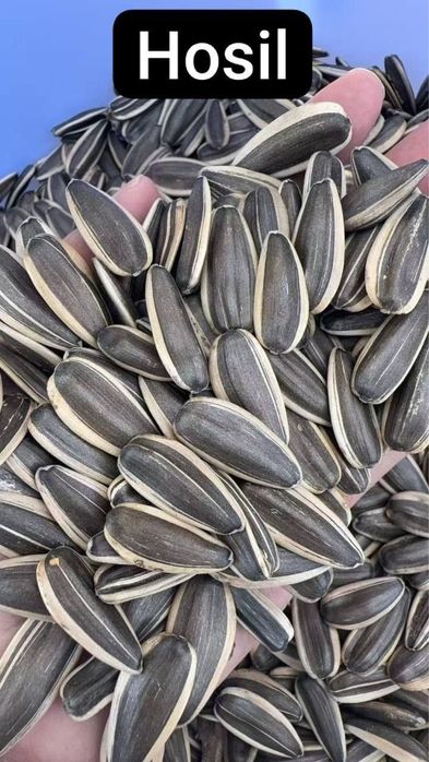 361 марка семечка МЕГА УРУГ