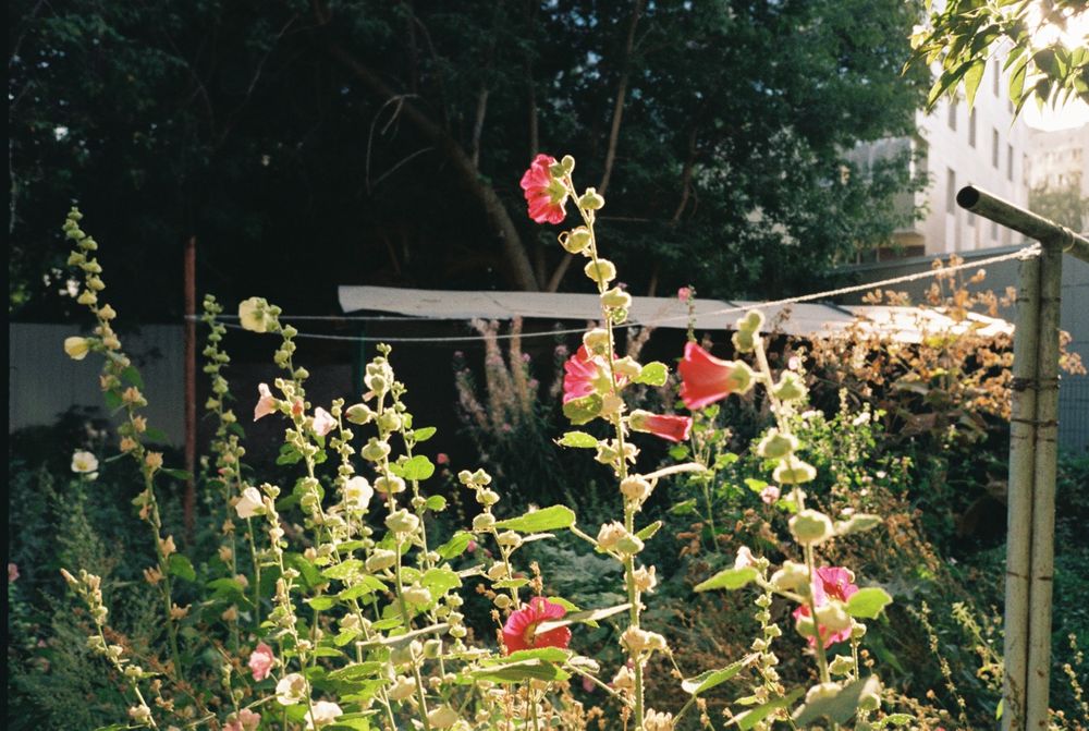 Olympus Mju II - с гарантией!