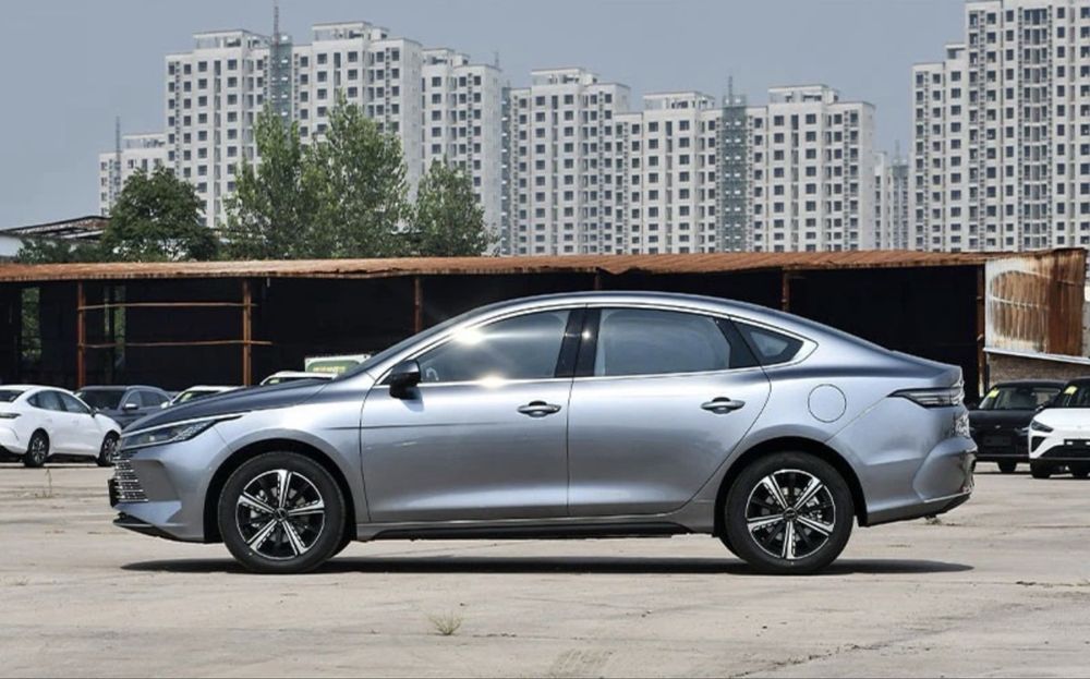 11500 сутки На выкуп!