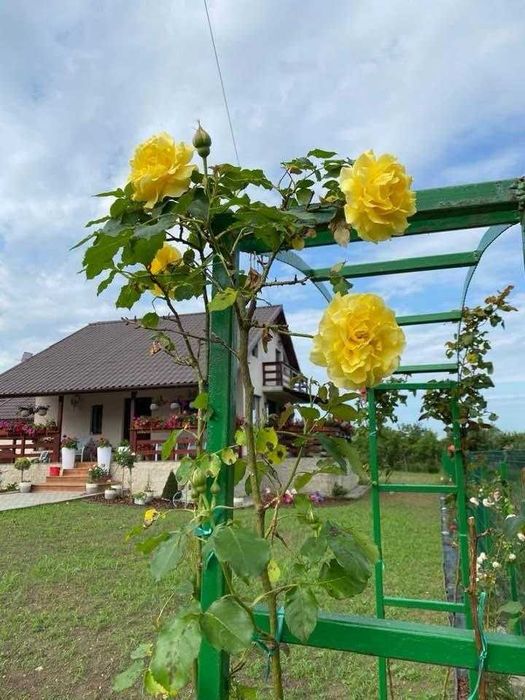 Casă zona Budești lângă pădure, zonă liniștită, Vâlcea, Teren 2664MP