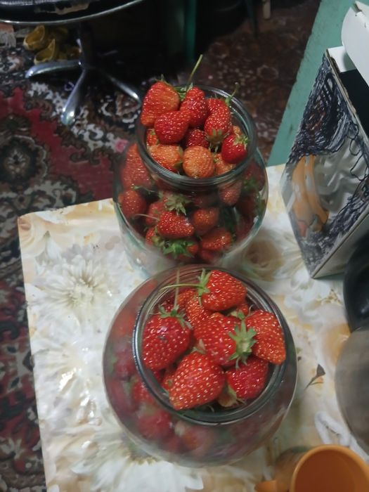 Продам клубнику домашнюю