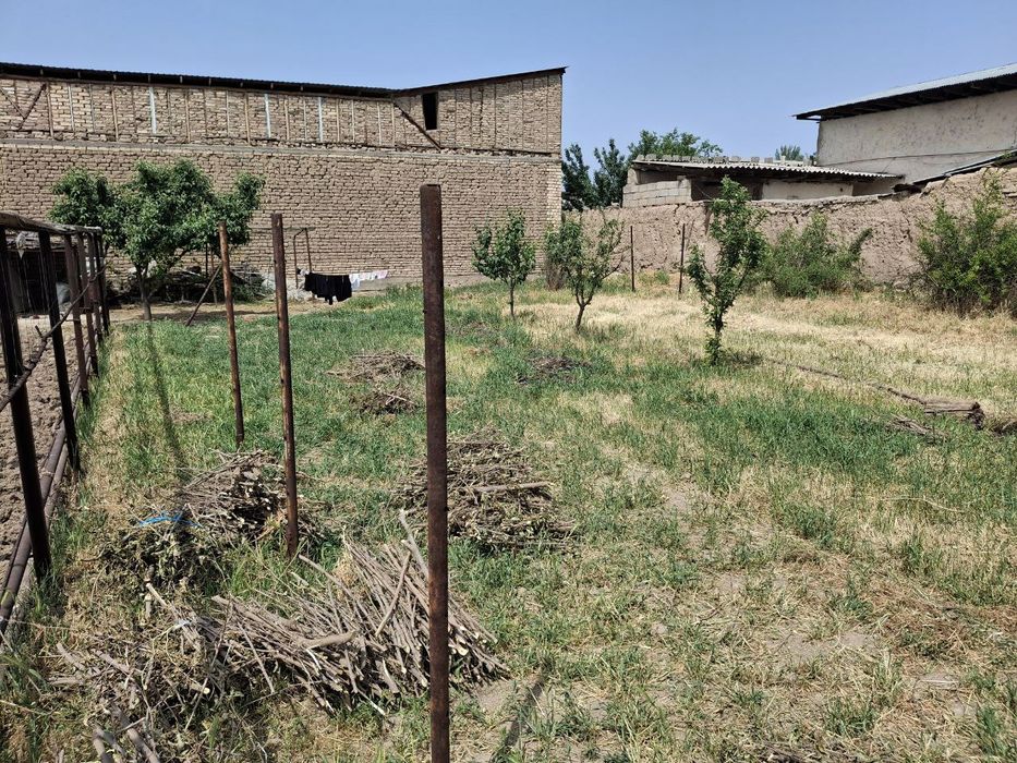 Yoshleninchida Yer sotiladi 6 sotix