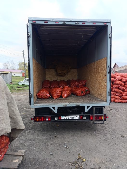 Грузчики Газели Грузоперевозки