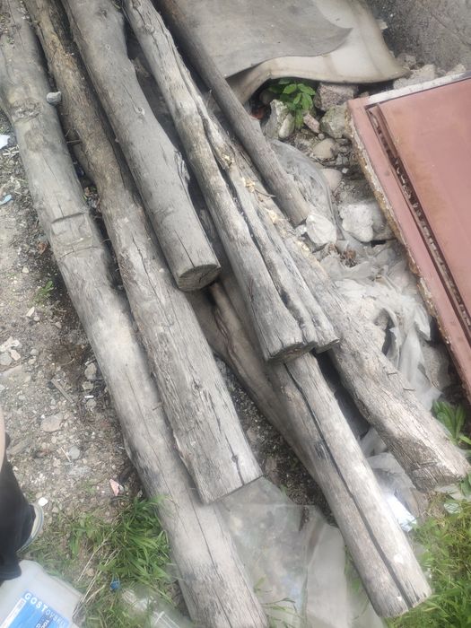 Кругляки срочноо