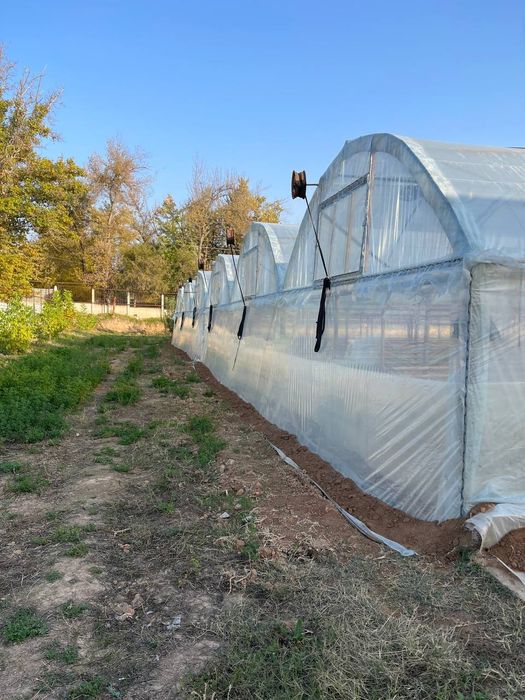 Teplitsa sotiladi hamma sharoit bor