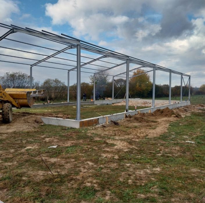Vand hala metalica structura 10x20