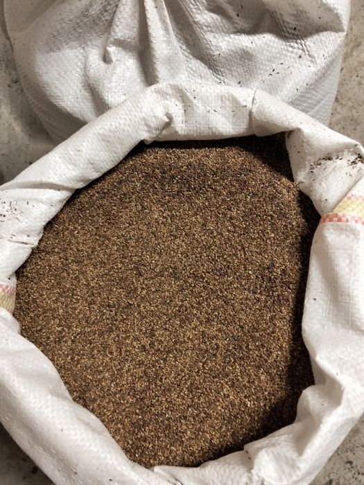 Vând semințe de lucerna