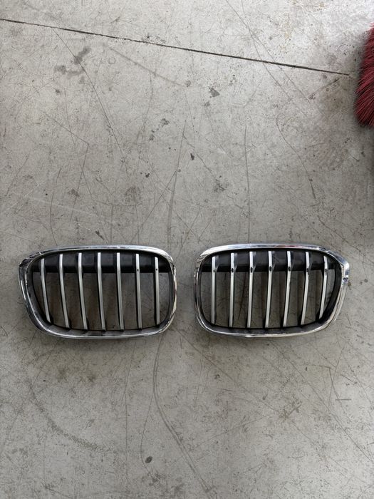 бъбреци за bmw x1 f48