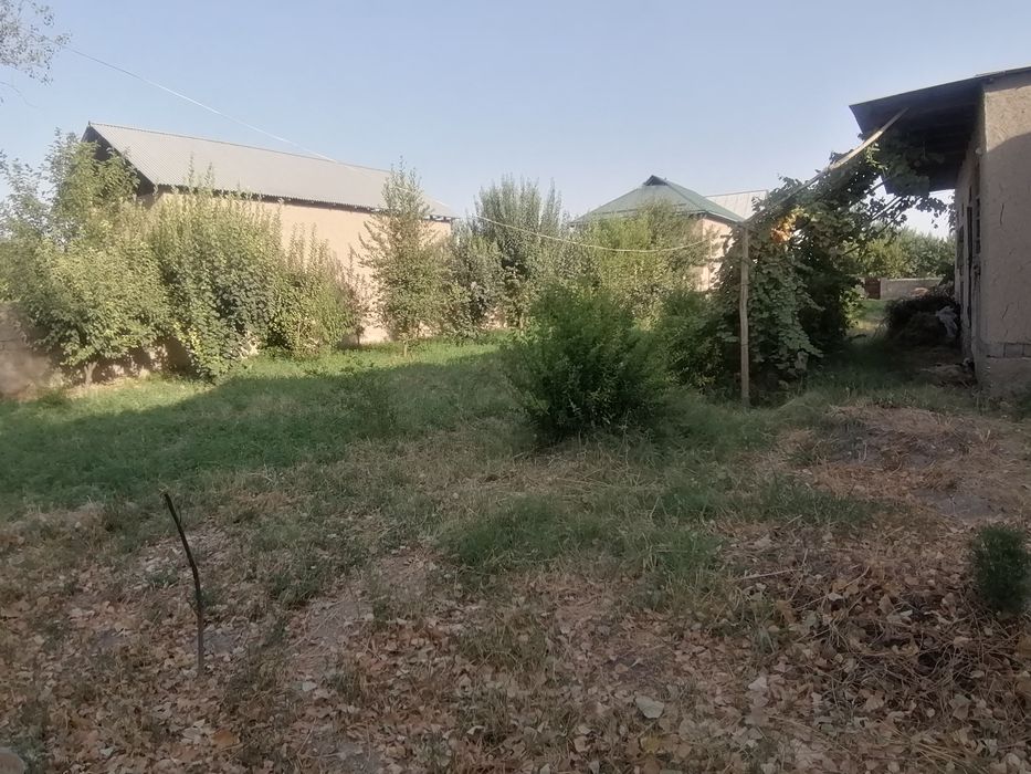 Kitob tumani Navqot qishlog'ida joylashgan 8 sutuk uy joy uchastkasi