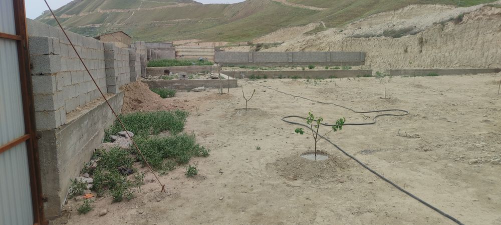 Koʻchmas mulk 5 sotikdan 2 norma yonma-yon joylashgan yer sotiladi