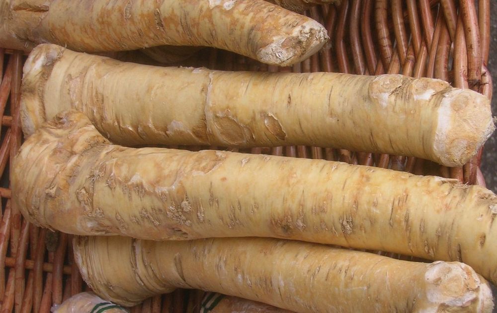 Продам корни хрена