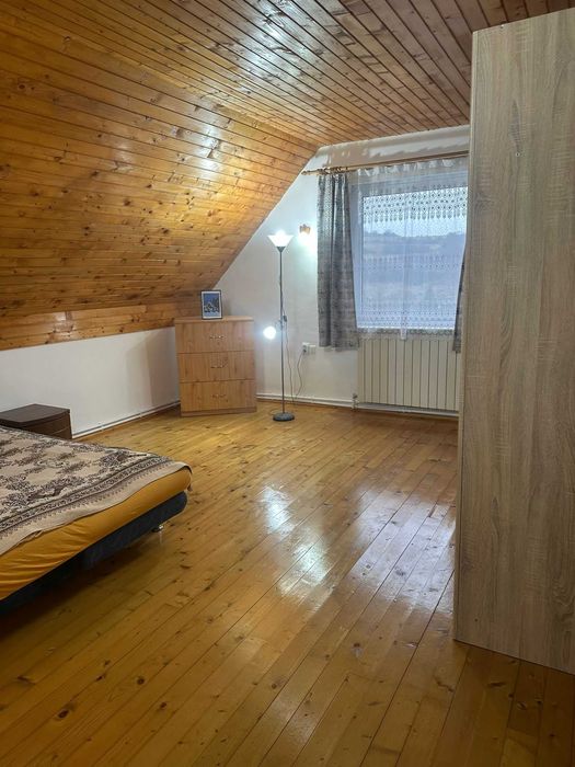 Cabana/casa de vanzare