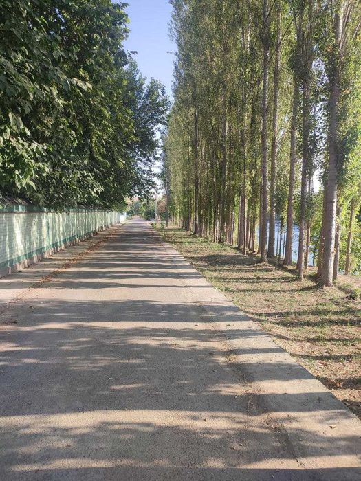Помещение под ресторан на берегу реки Карасу