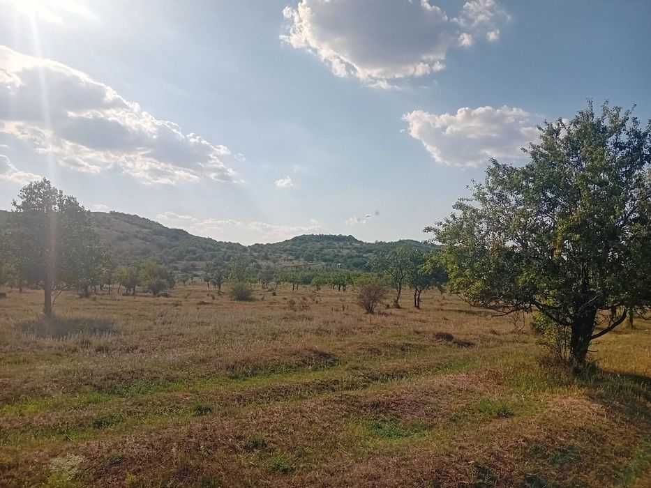 15.000mp extravilan
