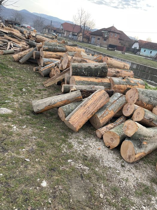 ‼️Vindem lemne de foc [Fag,Gorun,Carpen,Cer] la cel mai bun preț