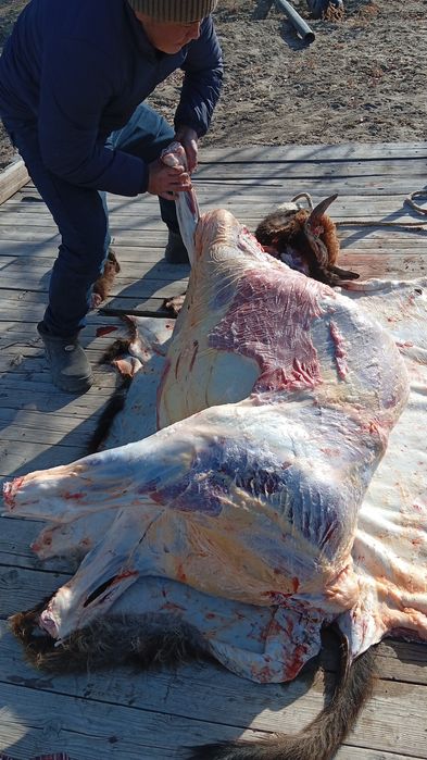 Касапшылык кызметтери!!!