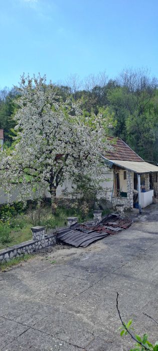 Casa de vânzare in localitatea Gurasada, Hunedoara