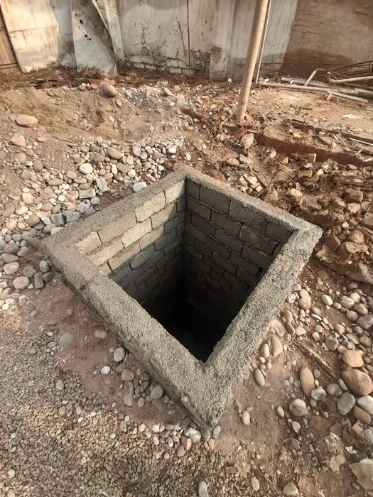 O'rachi kalodis transhen qazimiz