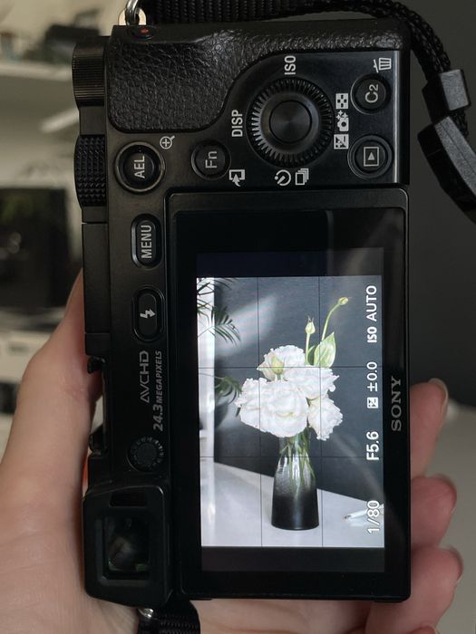 Sony a6000 + 16-50
