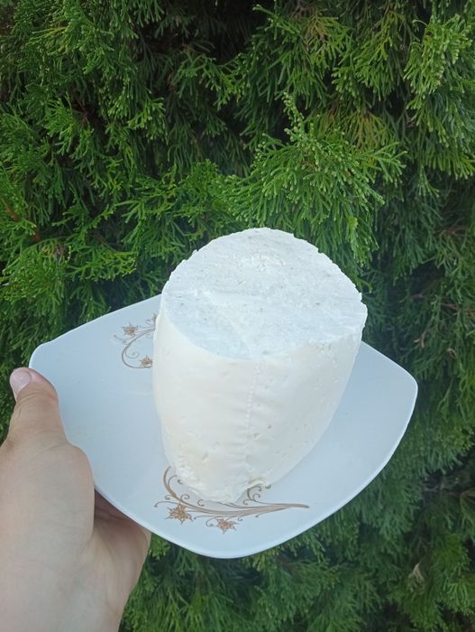 Brânză de vacă de vânzare
