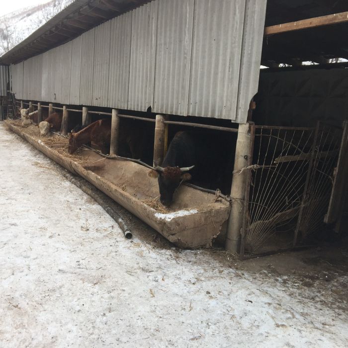 Продам фазенду 173га