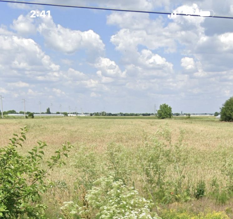 Teren de vanzare, Gostinari ,Giurgiu