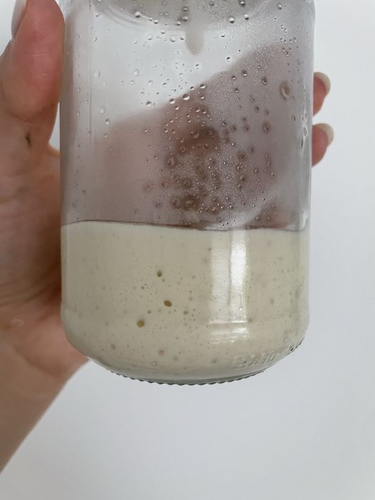 Maia activa sau deshidratata