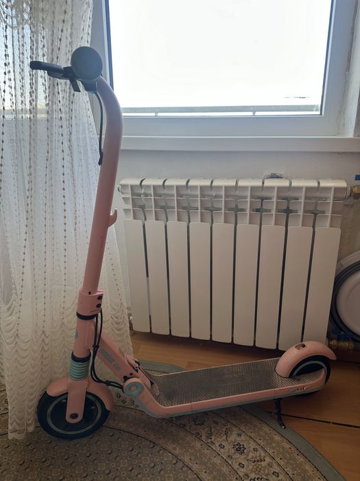 Электросамокат Ninebot eKickScooter Zing E8 розовый