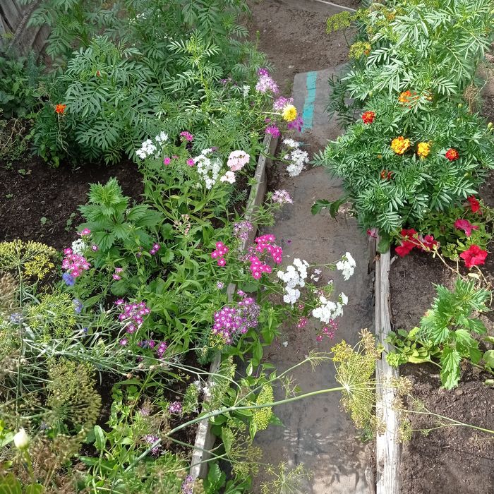 Прода м дачу сад Южной