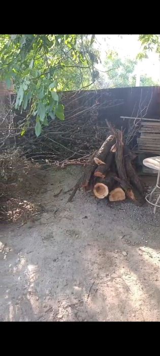 Отдам дрова бесплатно