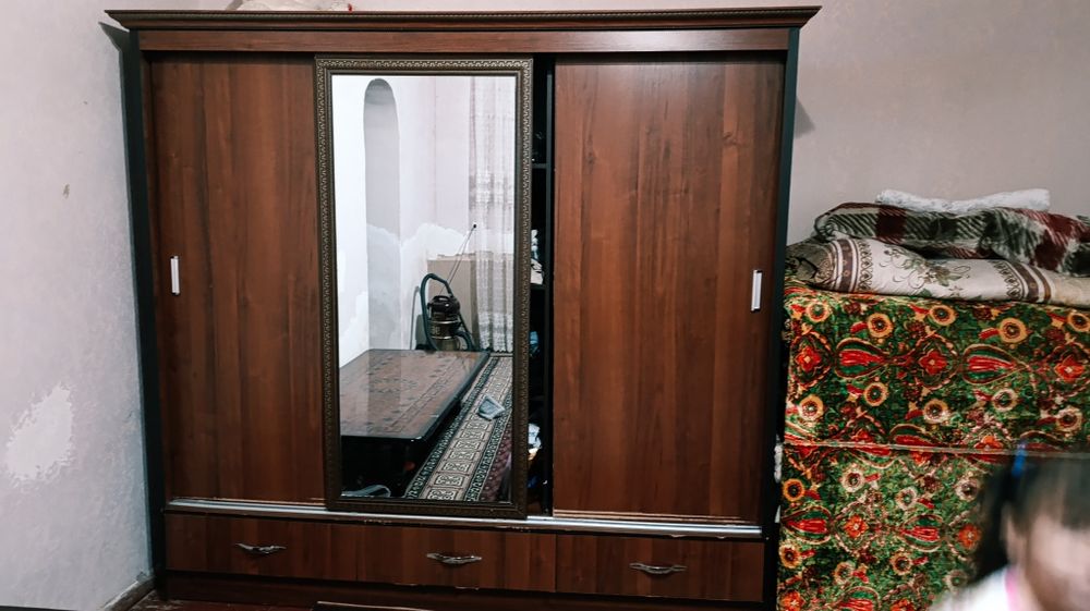 Шфанер пашти новый