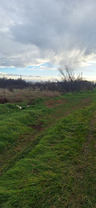 продавам  упи село Найден Герово
