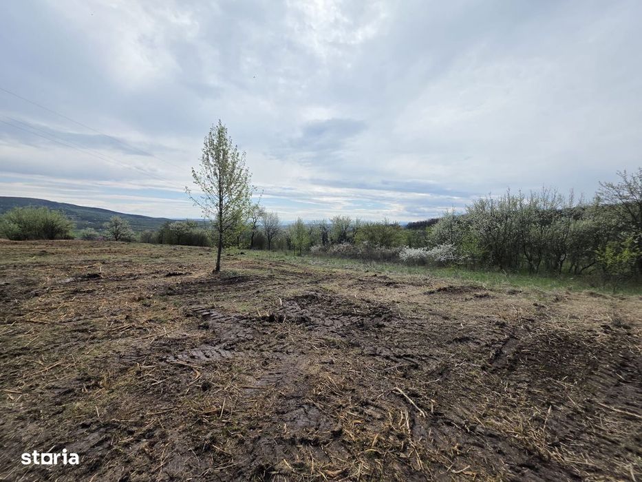 De vânzare teren intravilan – Bârsău, jud. Hunedoara