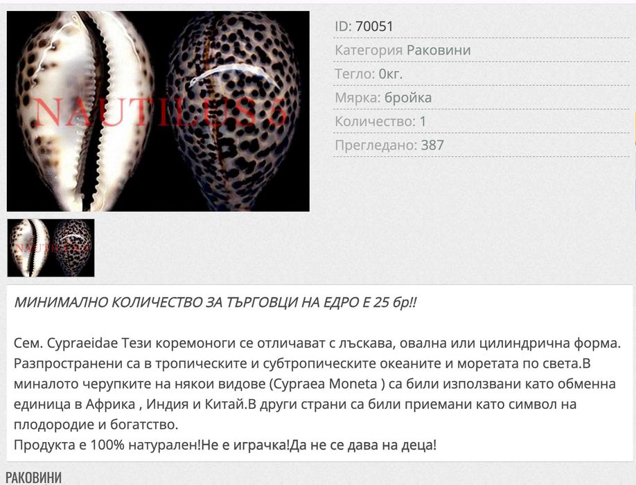 Морска раковина Тигрова Ципрея