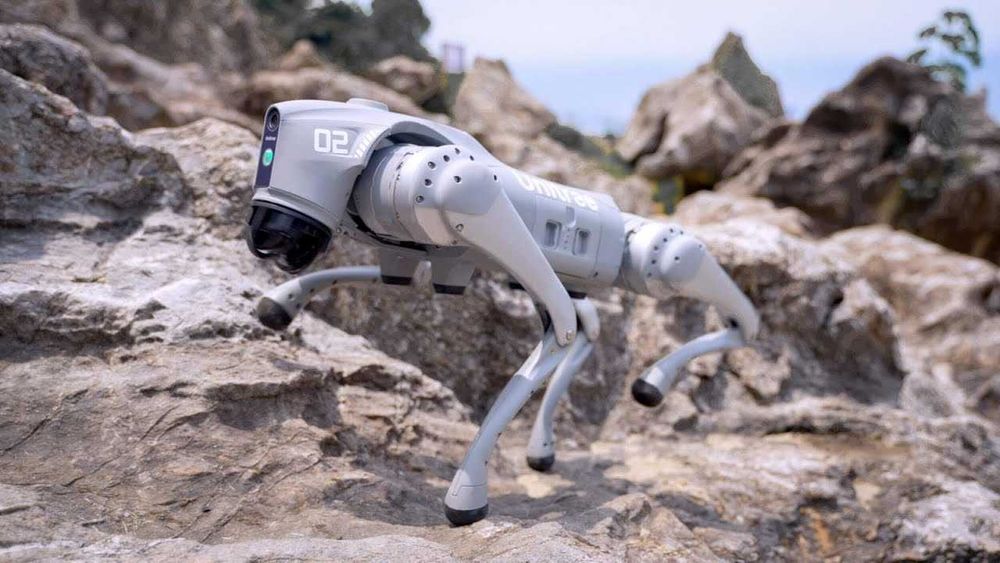 Продается Unitree Go2 Pro — робот-собака нового поколения | AI робот