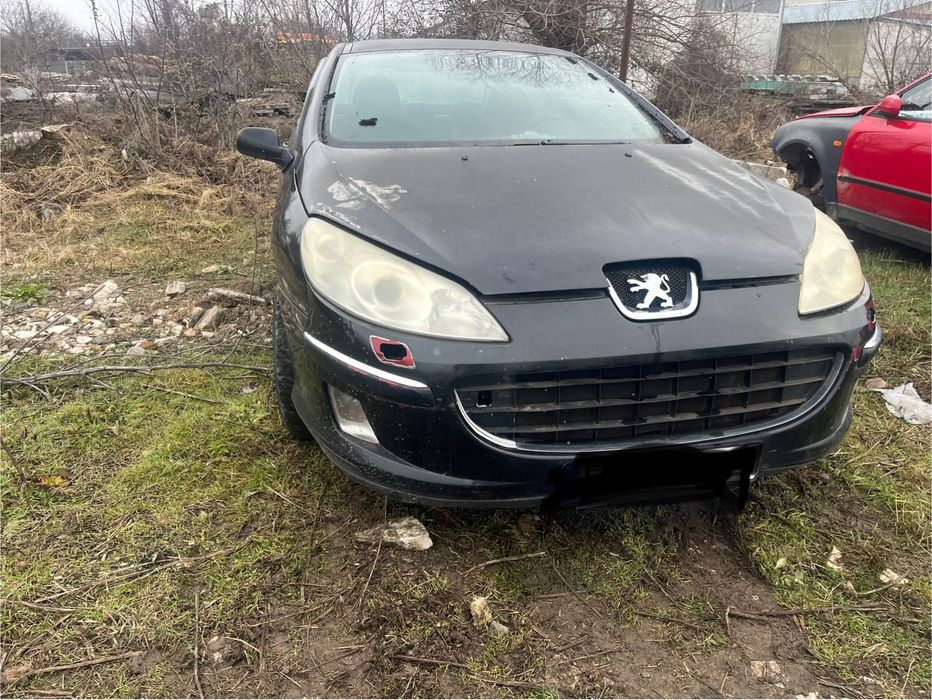 Bara fata peugeot 407!