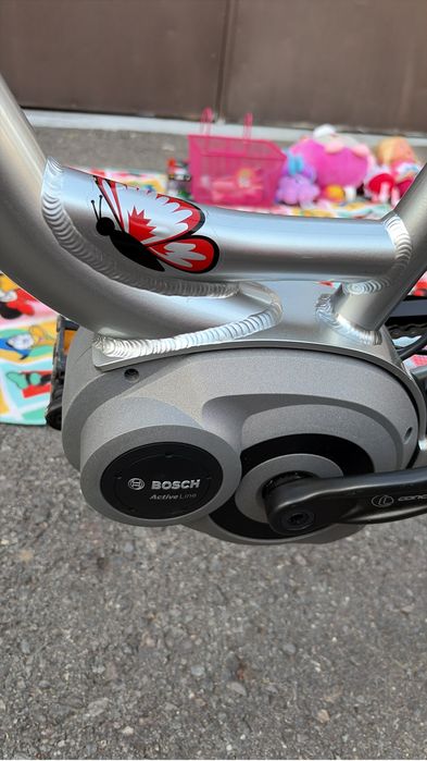 Bicicleta Electrica Derby Cycle 250W, 7 Viteze, Frane Hidraulice, 400 KM, Ca Noua