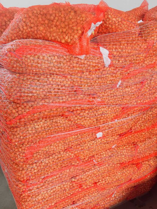 Vand ARPAGIC Olanda - calitate superioara