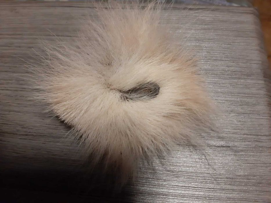 Волчья петля Мощнейший Амулет-Оберег Волчья