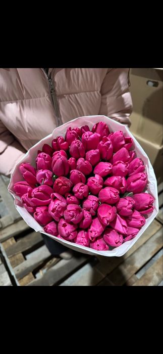 Свежие тюльпаны Шымкент продаются пачками