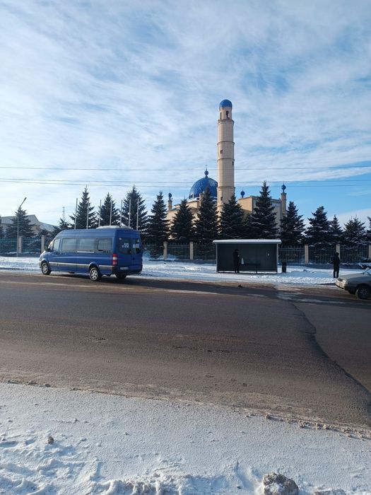 Пассажирские перевозки