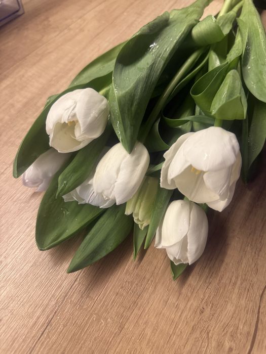 Продам тюльпаны очень красивые