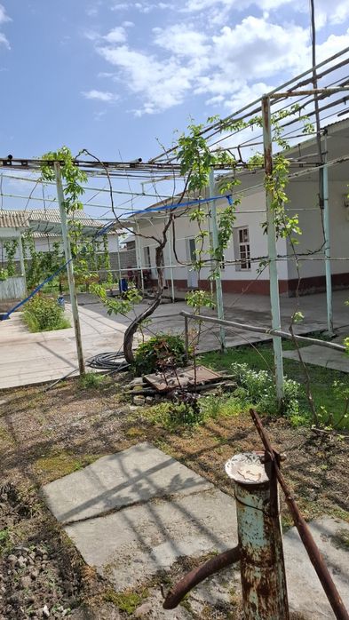 Orta chirchiq tumani  Darxon maxalasi 157uy