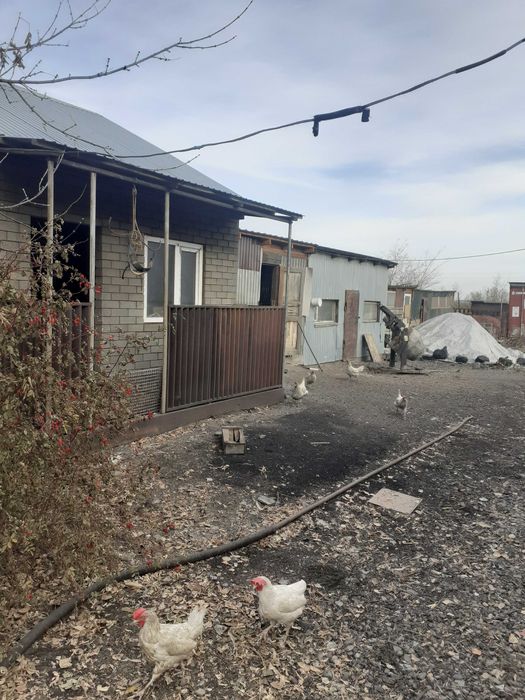 Продам дом Лесхоз