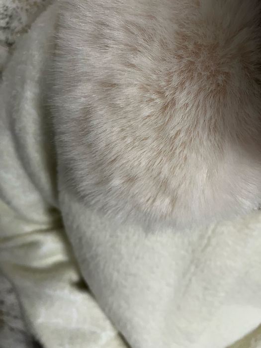 Альпака белая / ақ