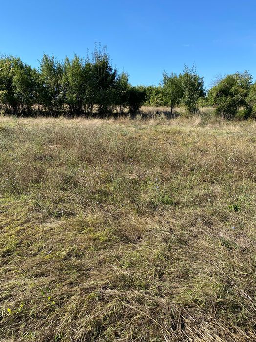 Продава се Къща в Провадия - 67 кв.м за 457 €/кв.м - Снимка #5