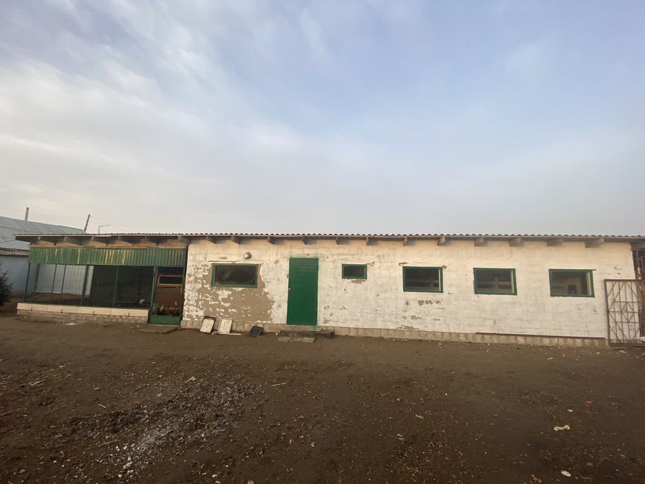 Действующее  ЛПХ в городе + два дома.