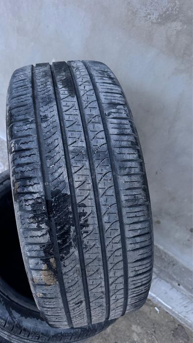 Шины покрышка Prezo  [каспи ред)