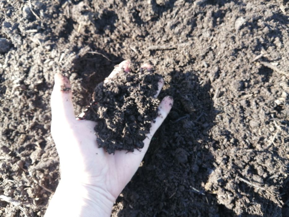 Перегной хороший!